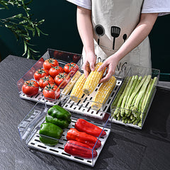 Kitchen Refrigerator Storage Box Drawer Crisper