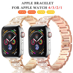 Band + Case Metal Strap For Apple Watches